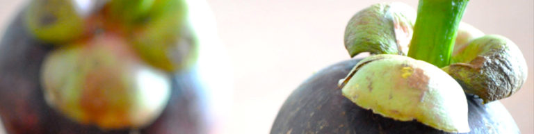 Mangostan